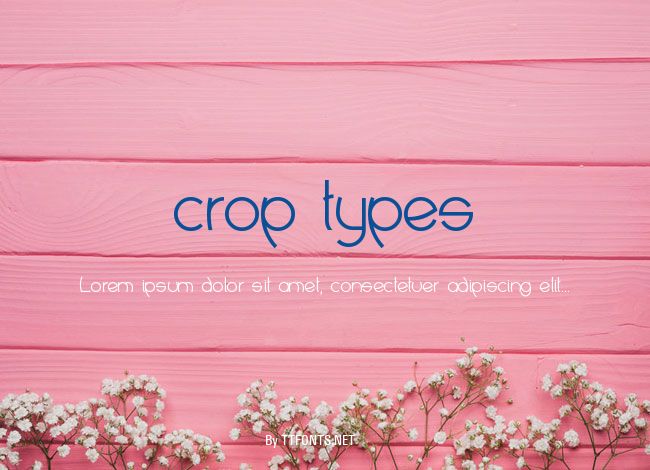 crop types example